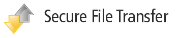 Secure file transfer